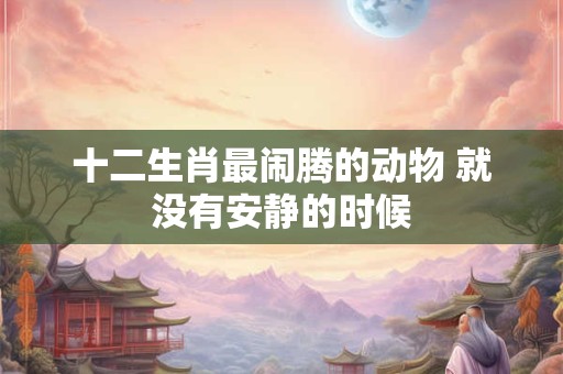 十二生肖最闹腾的动物 就没有安静的时候