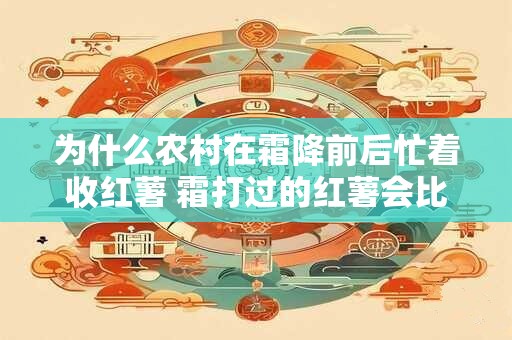 为什么农村在霜降前后忙着收红薯 霜打过的红薯会比较甜