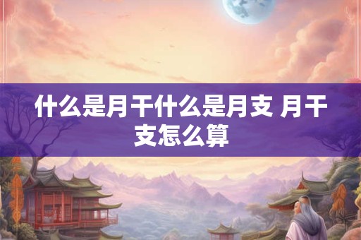 什么是月干什么是月支 月干支怎么算