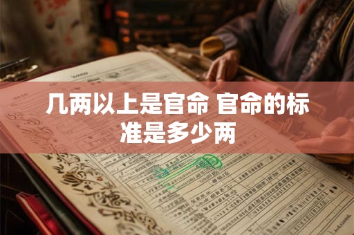 几两以上是官命 官命的标准是多少两