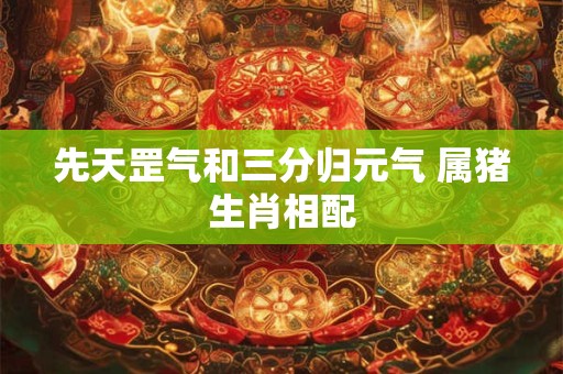 先天罡气和三分归元气 属猪生肖相配