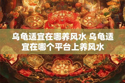 乌龟适宜在哪养风水 乌龟适宜在哪个平台上养风水