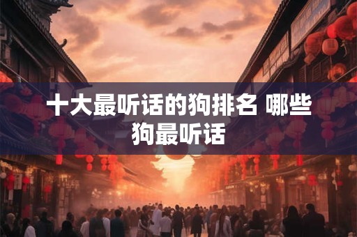 十大最听话的狗排名 哪些狗最听话