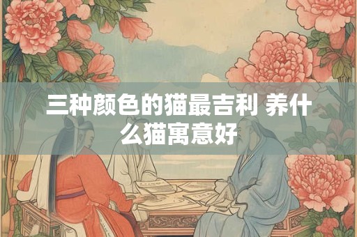 三种颜色的猫最吉利 养什么猫寓意好