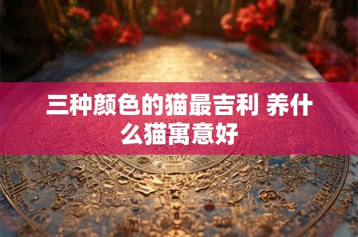 三种颜色的猫最吉利 养什么猫寓意好