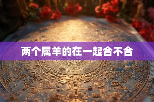 两个属羊的在一起合不合