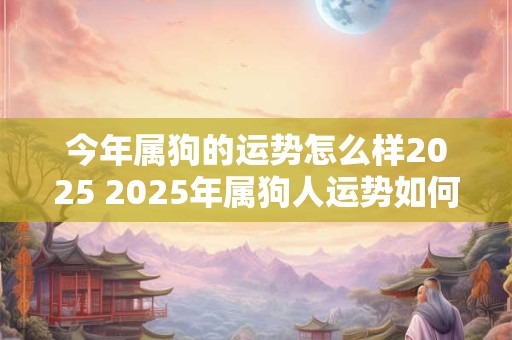 今年属狗的运势怎么样2025 2025年属狗人运势如何
