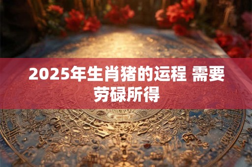 2025年生肖猪的运程 需要劳碌所得