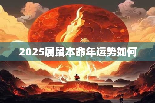 2025属鼠本命年运势如何