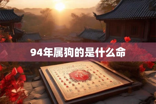 94年属狗的是什么命
