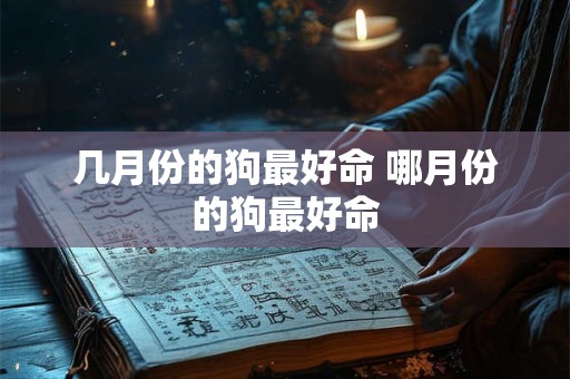 几月份的狗最好命 哪月份的狗最好命