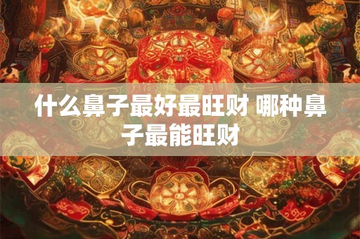 什么鼻子最好最旺财 哪种鼻子最能旺财