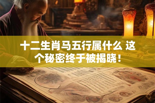 十二生肖马五行属什么 这个秘密终于被揭晓！