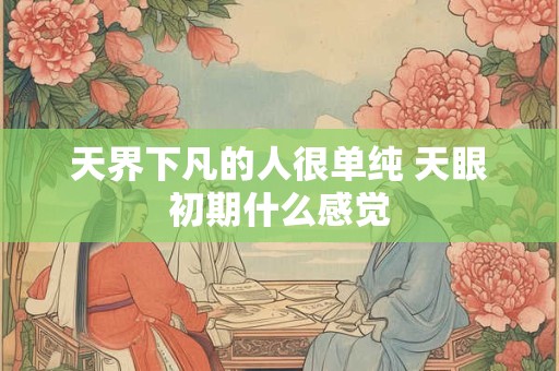 天界下凡的人很单纯 天眼初期什么感觉