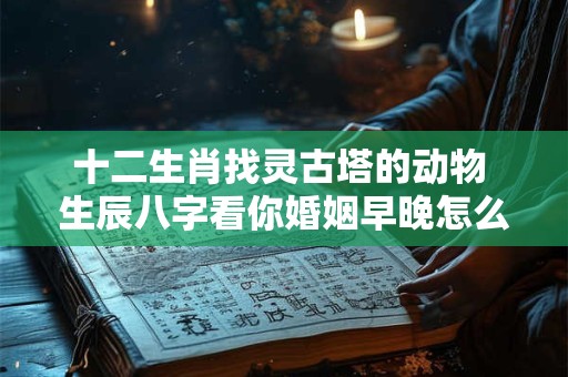 十二生肖找灵古塔的动物 生辰八字看你婚姻早晚怎么看