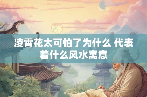 凌霄花太可怕了为什么 代表着什么风水寓意