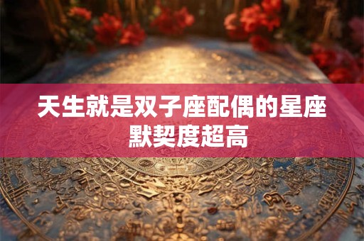 天生就是双子座配偶的星座  默契度超高