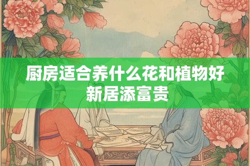 厨房适合养什么花和植物好 新居添富贵