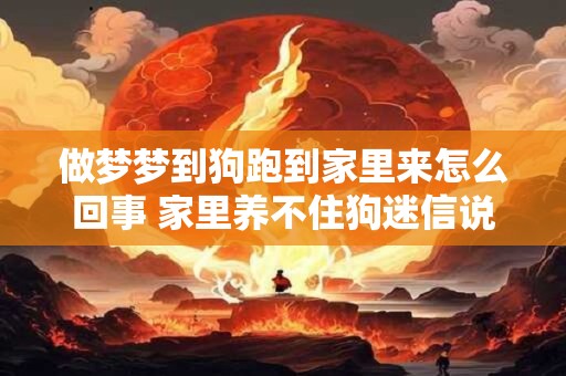 做梦梦到狗跑到家里来怎么回事 家里养不住狗迷信说法 做梦梦到狗跑到家里来怎么回事 家里养不住狗迷信说法