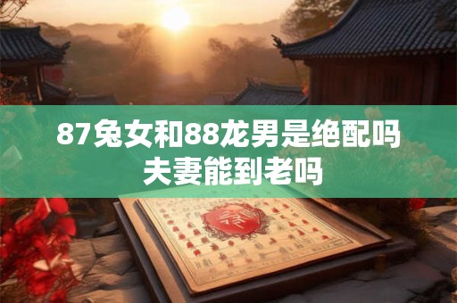 87兔女和88龙男是绝配吗 夫妻能到老吗