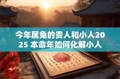 今年属兔的贵人和小人2025 本命年如何化解小人