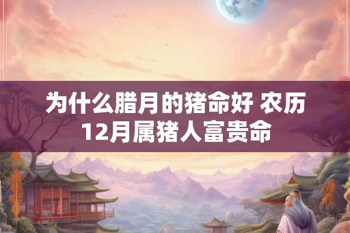 为什么腊月的猪命好 农历12月属猪人富贵命