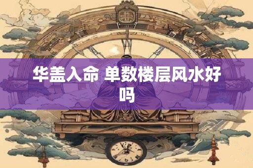 华盖入命 单数楼层风水好吗