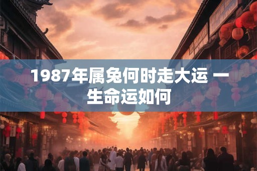 1987年属兔何时走大运 一生命运如何 1987年属兔何时走大运 一生命运如何