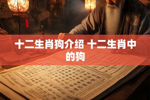 十二生肖狗介绍 十二生肖中的狗