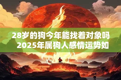 28岁的狗今年能找着对象吗  2025年属狗人感情运势如何