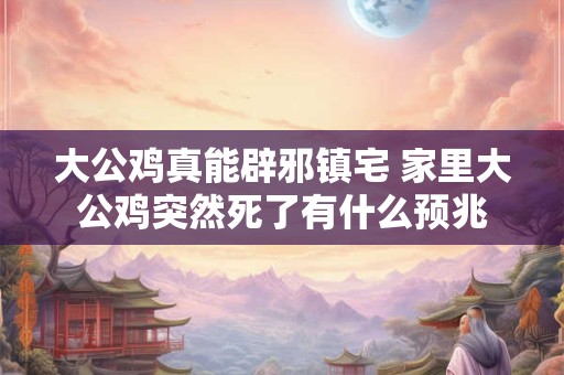 大公鸡真能辟邪镇宅 家里大公鸡突然死了有什么预兆