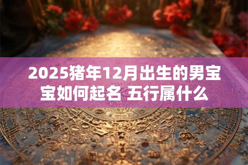 2025猪年12月出生的男宝宝如何起名 五行属什么