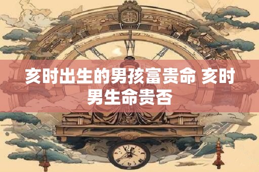 亥时出生的男孩富贵命 亥时男生命贵否