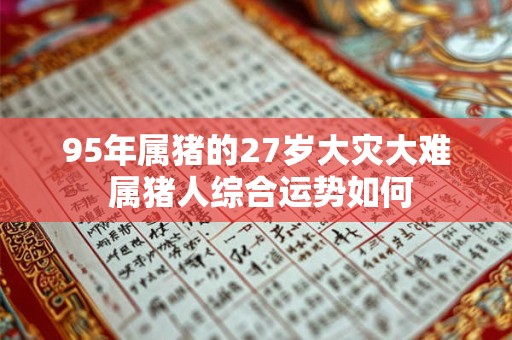 95年属猪的27岁大灾大难 属猪人综合运势如何