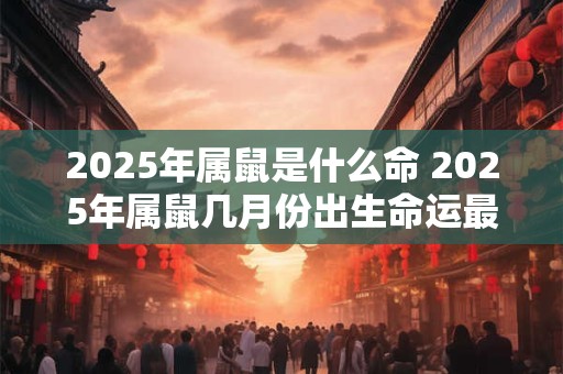 2025年属鼠是什么命 2025年属鼠几月份出生命运最好