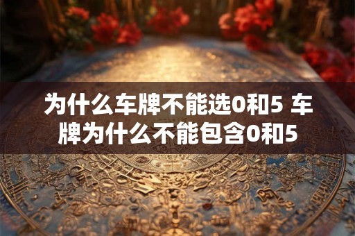 为什么车牌不能选0和5 车牌为什么不能包含0和5