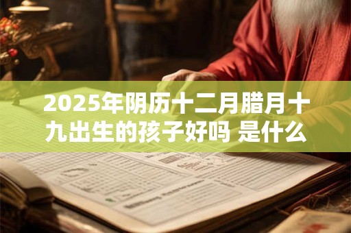 2026年阴历十二月腊月十九出生的孩子好吗 是什么命