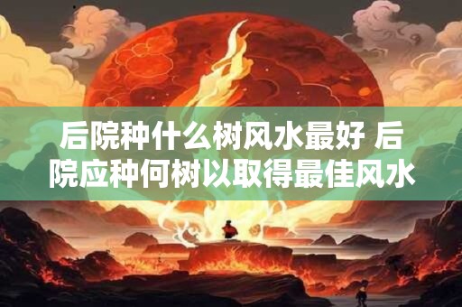 后院种什么树风水最好 后院应种何树以取得最佳风水
