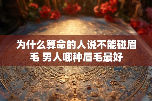 为什么算命的人说不能碰眉毛 男人哪种眉毛最好