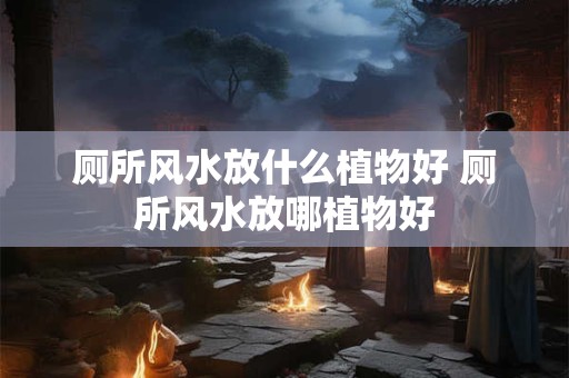厕所风水放什么植物好 厕所风水放哪植物好