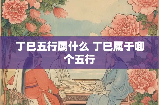 丁巳五行属什么 丁巳属于哪个五行