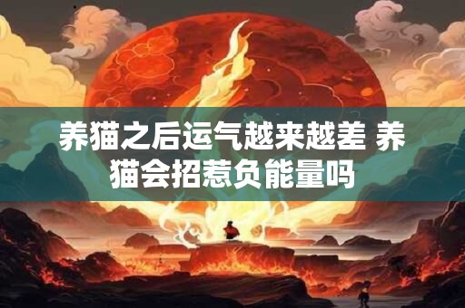 养猫之后运气越来越差 养猫会招惹负能量吗