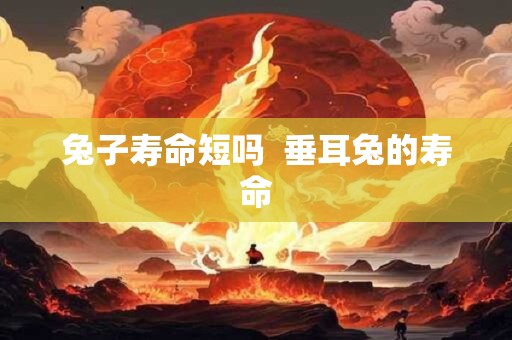 兔子寿命短吗  垂耳兔的寿命