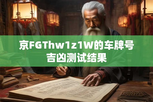 京FGThw1z1W的车牌号吉凶测试结果
