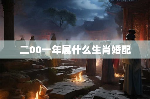 二00一年属什么生肖婚配