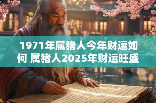 1971年属猪人今年财运如何 属猪人2025年财运旺盛吗