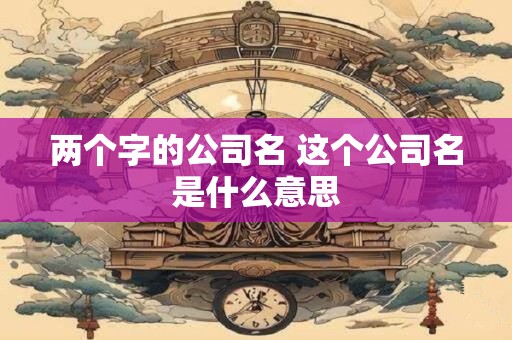 两个字的公司名 这个公司名是什么意思