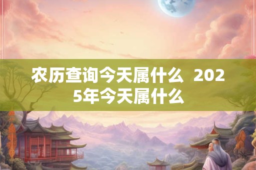 农历查询今天属什么  2025年今天属什么