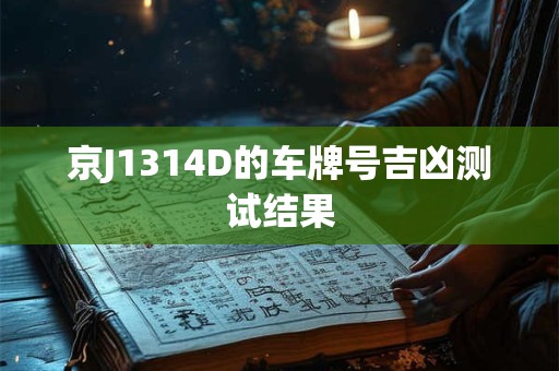 京J1314D的车牌号吉凶测试结果