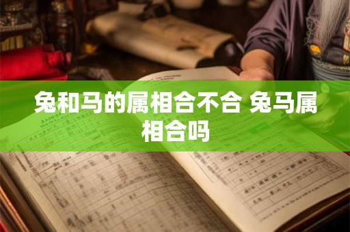 兔和马的属相合不合 兔马属相合吗